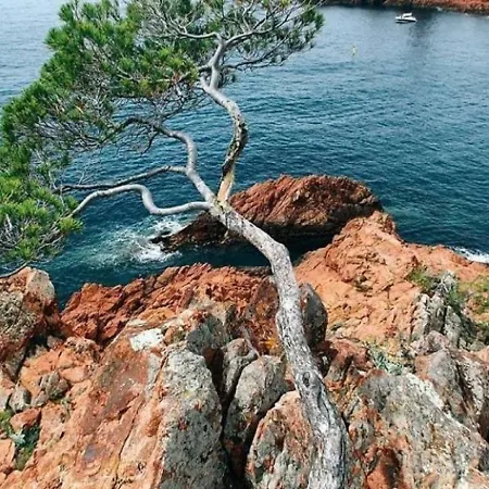 2 Pieces 4/5 Personnes Rez-de-jardin - Cap Esterel, Cote D'azur Apartmán
